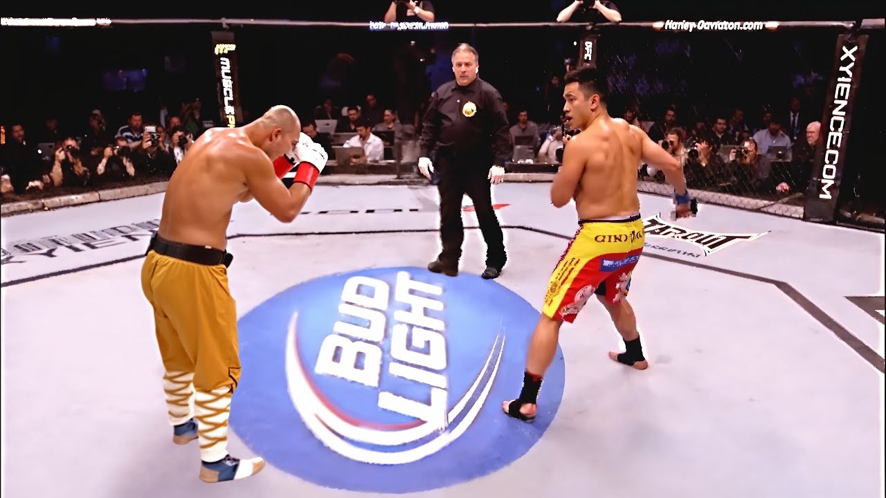 Peter Aerts vs. Masaaki Satake - K-1 GP '98 FINAL - YouTube