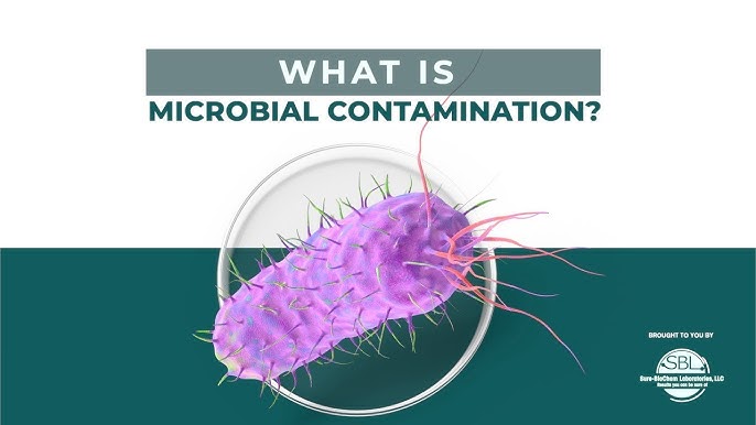 Cross-Contamination  Definition, Side Effects & Examples - Video