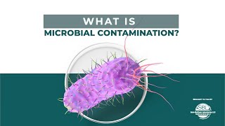 What is Microbial Contamination? | Everything to Know