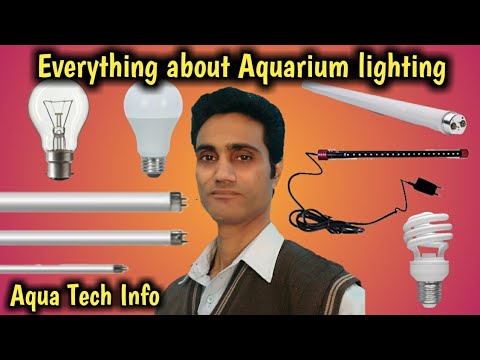 #206. All about Aquarium lighting