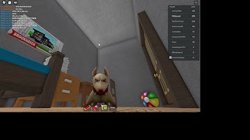 Fun Run - Gameplay Walkthrough Part 5 - New skin -  Doggy