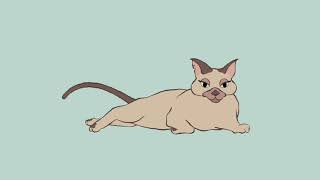 WAVE PRINCIPLE - TAIL CAT - Itziar Calderon