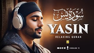 Stunning recitation of Surah Yasin (Yaseen) سورة يس | Relaxing Soft Voice | Zikrullah TV screenshot 1