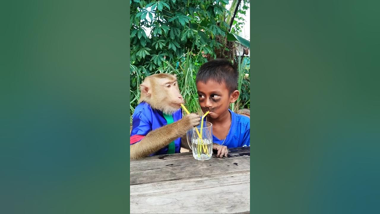 Awesome Great video Super SokYaa Very Adorable & Harmony Animals Around