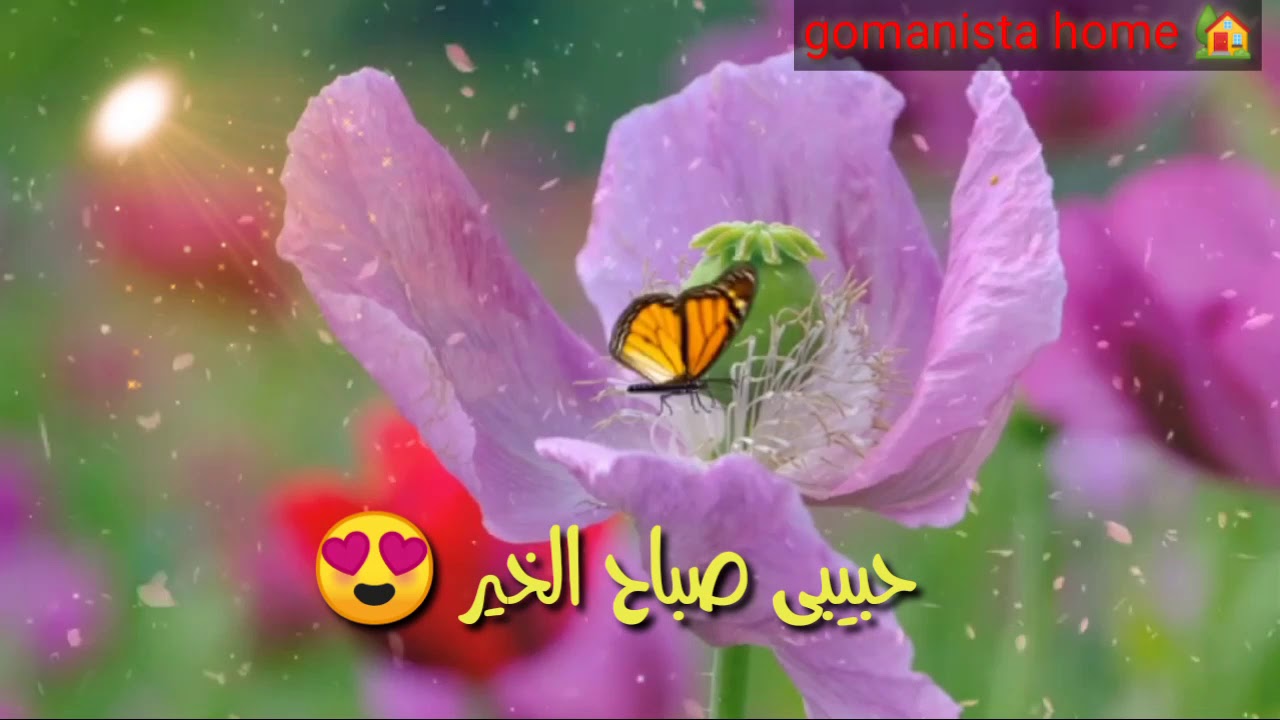 حالات واتس عن صباح الخير