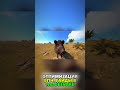 ОПТИМИЗАЦИЯ ПК И ВПН В ТГК: DE3NAKE