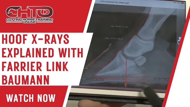 Hoof X-Rays Explained with Farrier Link Baumann