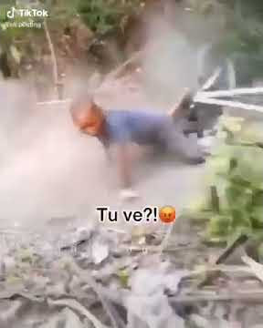 Tú ve no voy a jugar con ustedes mamaguevo (original)