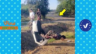 Funny &amp; Hilarious Video People&#39;s Happy Life #26 😂 Try Not To Laugh Funny Videos 2024