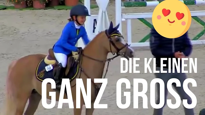 Zuckers!! Jeder fngt mal klein an | Pony Cup |Die ...