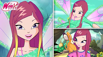 Who is Tecnas boyfriend in Winx?