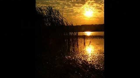 Osiris Intro Video.wmv