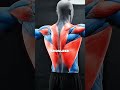The Hidden Muscle For A V-Taper (Most People Ignore It)
