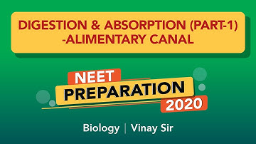 NEET 2020 | Class 11 Digestion & Absorption Part-1 | NEET Biology | NEET Preparation