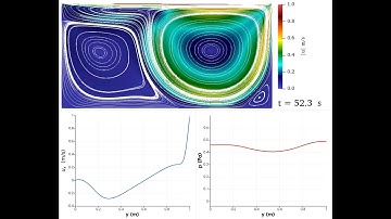 [CFD] [OPENFOAM][2D] Lid Driven Cavity Flow: Reynolds 2000 - Dimension 2 x 1