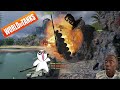 World of tanks funny moments  wot funny tank lols  episode  96