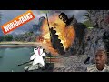 World of Tanks Funny Moments | Wot funny tank LoLs - Episode 9️⃣6️⃣😈😎😂