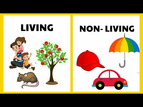 Video: Ano ang non living matter?