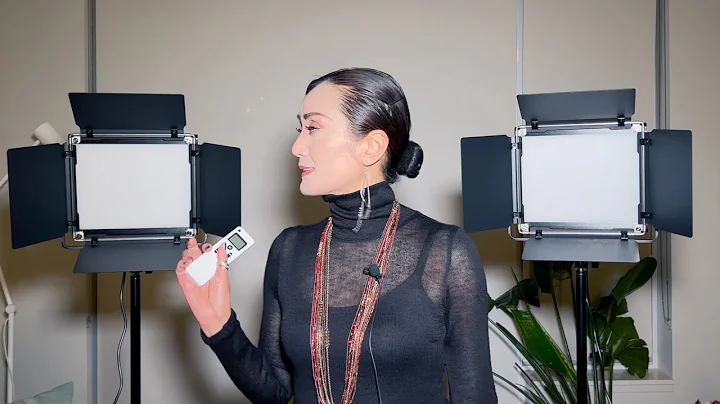 Best Lighting Kit with remote for Youtube videos | Neewer 2.4G 660 LED Video Light | How-to Guide