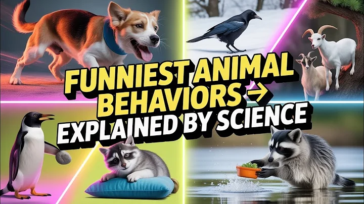 Funniest Animal Behaviors Explained by Science 🐾😂 | Smartest Survival Tricks You Never Knew! thumbnail