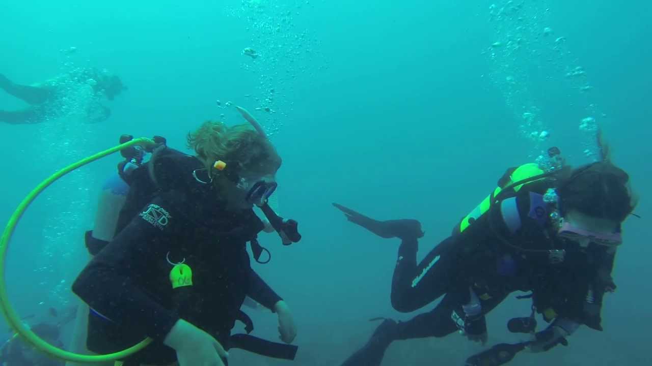 SCUBA Diving with Jupiter Dive Center, Florida, USA 2nd Dive YouTube