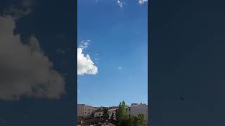 Taklacı Güvercin Erzurum