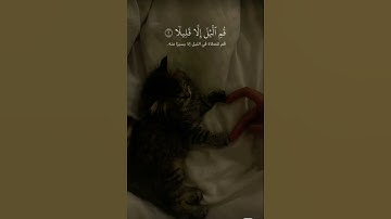 تلاوة خاشعة القارئ ~عبدالرحمن مسعد~ #قرآن #قران_كريم #عبدالرحمن_مسعد #راحة_نفسية #اكسبلور