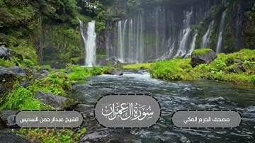 المصحف من الحرم المكي الشريف || لسورة آل عمران || للشيخ عبدالرحمن السديس