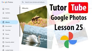Google Photos - Lesson 25 - Creating Animations
