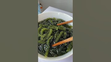 Lần đầu ăn rong nho và cái kết #review #youtubeshorts #anuong #anngonmoingay