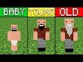 baby vs young vs old notch in minecraft