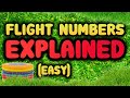 Flight Numbers Explained (EASY) #discgolf