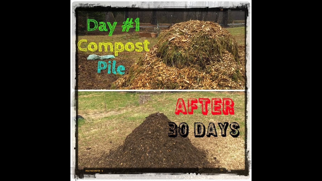 Compost Pile After 30 Days YouTube