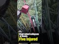 Kerala Amusement Park Accident: Giant Wheel Crashes In Thiruvananthapuram, Five Injured