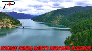 Dworshak Reservoir Kokanee Fishing