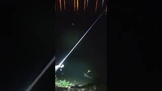 岸拋大頭鰱-連竿第二隻大頭