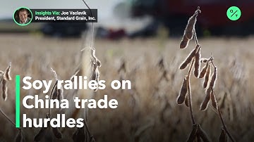 Soybean meal futures rose amid concern on trade logistics