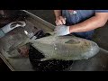 Behind the Scenes How Massive Fish Catches Become Gourmet Meals! 明發定置漁場 新竹海鮮
