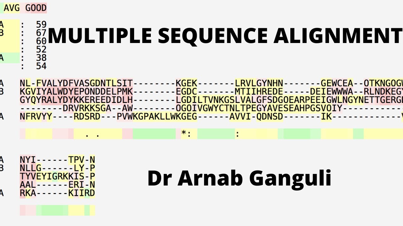 Multiple Sequence Alignment 20210616 110552 - YouTube