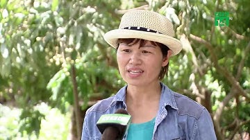 Lời giải cho bài toán rác thải nông thôn| VTC14