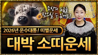 💖2026년 병오년 대박나는 소띠운세💖 97년생, 85년생, 73년생, 61년생, 49년생 소띠분들에게 열리는 대박운 공개합니다!!