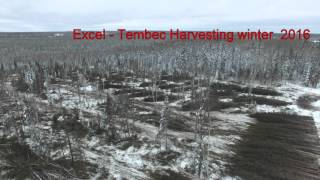 Excel  Tembec harvesting