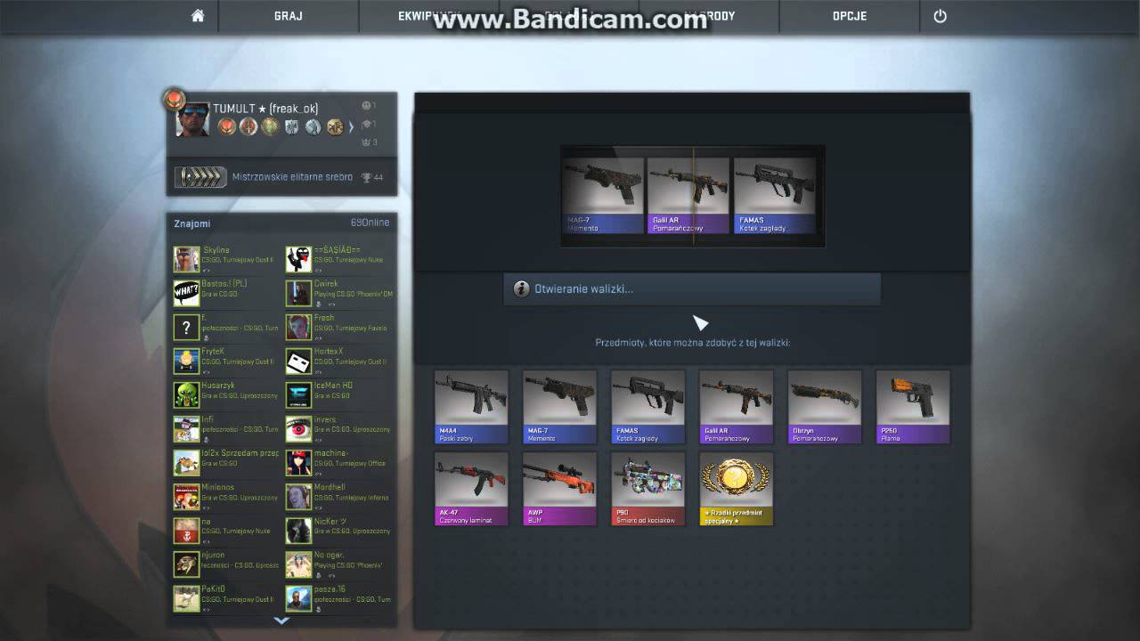 CS:GO esport 2013 case opening #1