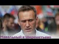 Алексей Навальный приземлился в Шереметьево