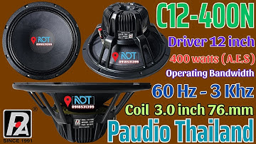 Loa Paudio C12 400N, Bass 30 Từ Neo