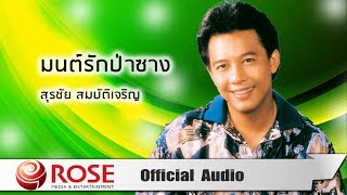 มนต์รักป่าซาง - สุรชัย สมบัติเจริญ( Audio)