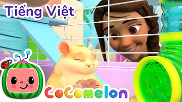 Thú Cưng Của Lớp Ngủ Ở Nhà Bạn | Bài hát dành cho trẻ em | CoComelon Lồng tiếng việt