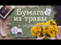 Пробую сделать БУМАГУ ИЗ ТРАВЫ И ОДУВАНЧИКОВ | Masherisha