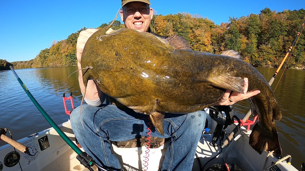 How to Catch Catfish  Best Tips for Getting Started - Wired2Fish