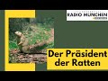 Der prsident der ratten